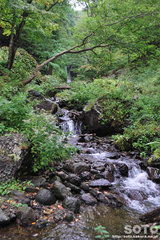 岩尾別温泉(6)