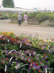 草花木センター