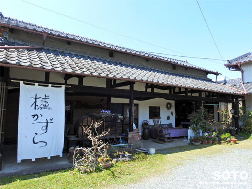 櫨かずら(1)