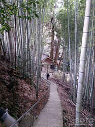 龍王神社(1)