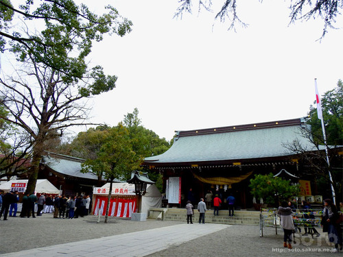 菊池神社(2020-1)