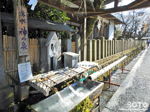 阿蘇神社(湧水)