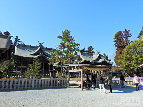 阿蘇神社(拝殿)
