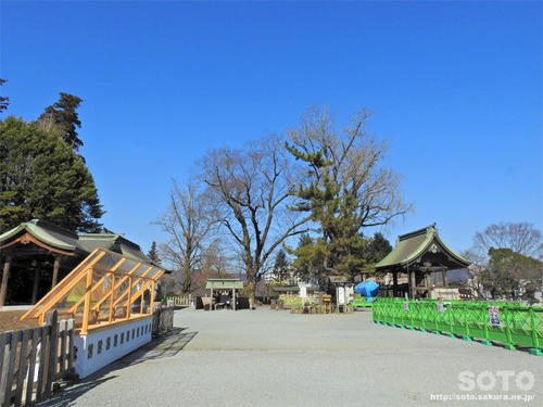 阿蘇神社(境内)