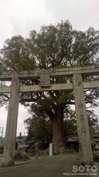 津江神社(1)