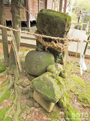 松島稲荷神社(2)