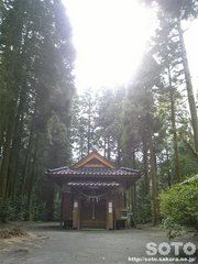 藤谷神社(3)