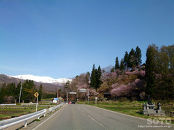 ORiPj