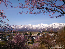 ORiTj