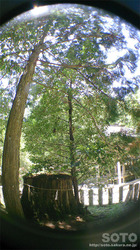 国造神社(4)