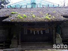 安久津八幡神社