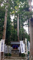 岩木山神社(白雲大龍神2)