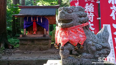 岩木山神社(お稲荷さんと狛犬)