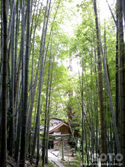 龍王神社(20110808_01)