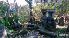 伊豆神祇大社(3)
