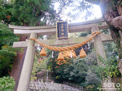 泉神社(1)