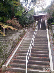 泉神社（４）