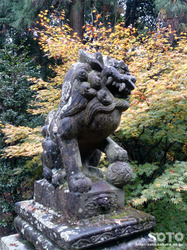 泉神社(5)