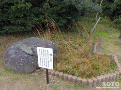 白兎神社(ガマ)