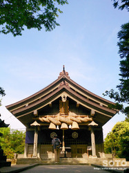 白兎神社(拝殿)