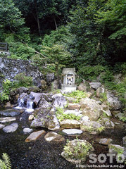 泉神社の湧水