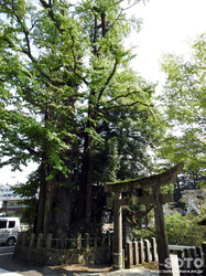 小国両神社(3)