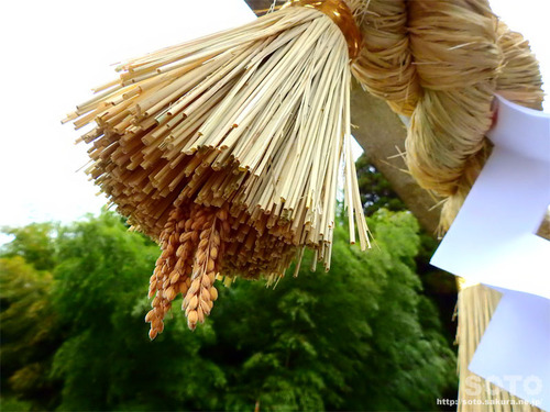 神龍八大龍王神社(2019_2)