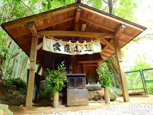 神龍八大龍王神社(2019_5)