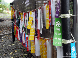 浦幌神社(11)