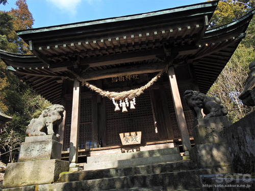 烏宿神社（10）