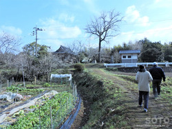 菅原神社(1)