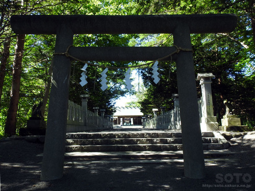 千歳神社(2)