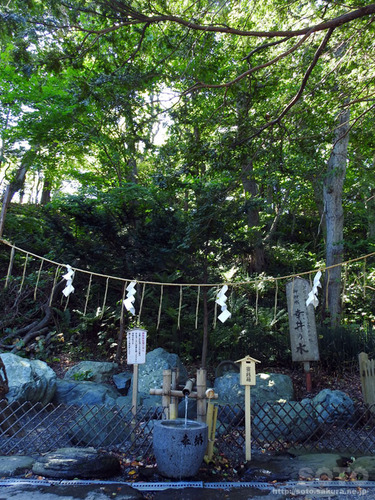 千歳神社(幸井の水)