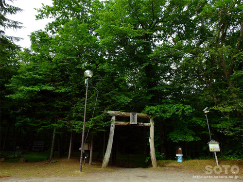 来運神社(1)