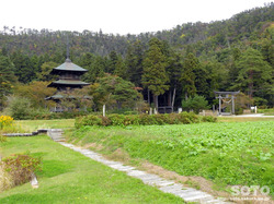 阿久津八幡神社(01)