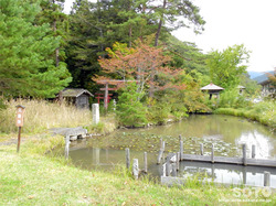 阿久津八幡神社(05)