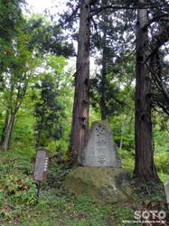 阿久津八幡神社(13)