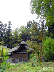 阿久津八幡神社(22)
