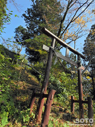 浮島神社(愛宕神社/1)