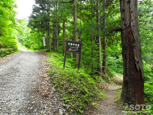 大山祇神社(木の根坂)