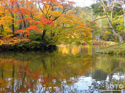 大沼の浮島(大沼と紅葉)