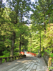 榛名神社(12)