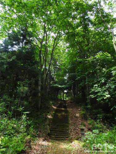 剣龍神社(1)