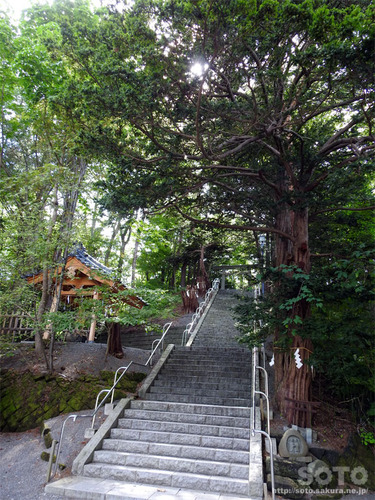 千歳神社(参道)