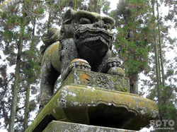 志々岐神社(05)