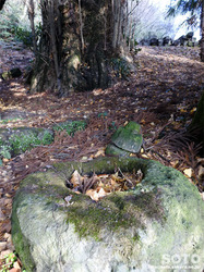 石神社(4)