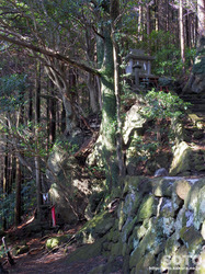 三閑稲荷神社(09)