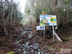 pFR匠 SiPj