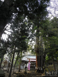 磐椅神社(5)