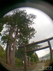 福島大神宮(05)